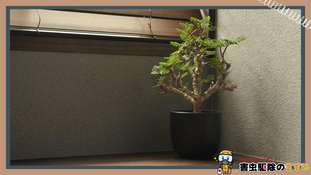 窓辺の明るい場所に置かれた観葉植物の鉢