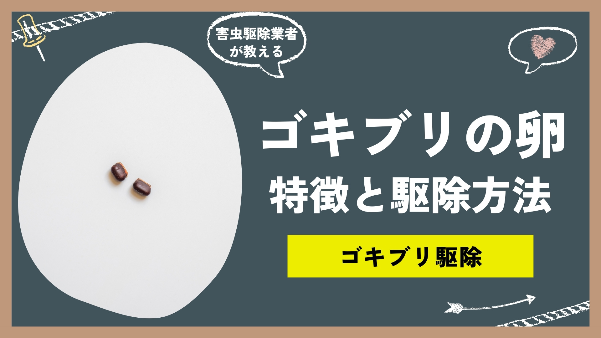 ゴキブリの卵の特徴と見分け方！産みやすい場所と、大量発生を防ぐ駆除方法について。