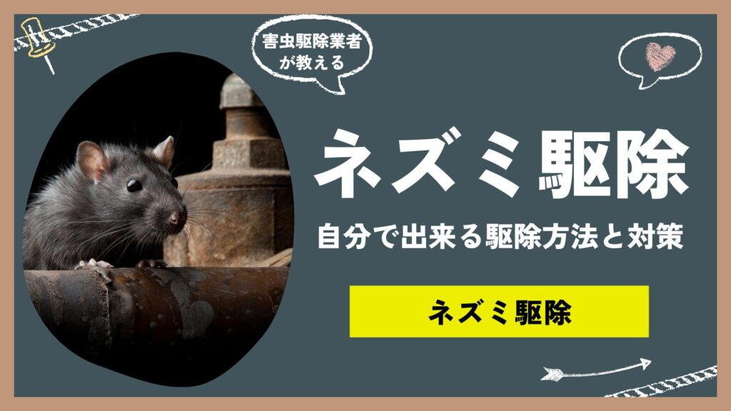 【保存版】ネズミ駆除方法まとめ！自分で出来る駆除方法と、ネズミを見ないための対策方法