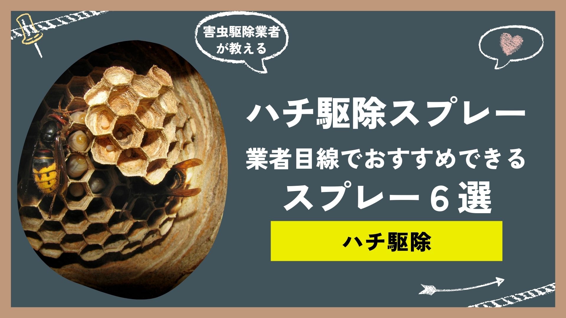 害虫駆除業者が教えるハチ駆除におすすめのスプレー殺虫剤6選！殺虫剤の選び方から駆除の方法までご紹介！