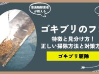 ゴキブリのフンの特徴と見分け方！正しい掃除方法とゴキブリ対策の方法についてプロがご紹介