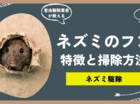 ネズミのフンの特徴と見つけたときの対処法！正しい清掃で被害を広げない。