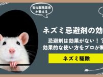 ネズミ忌避剤は効果がない！？忌避剤の種類と効果的な使い方をプロの駆除業者がご紹介