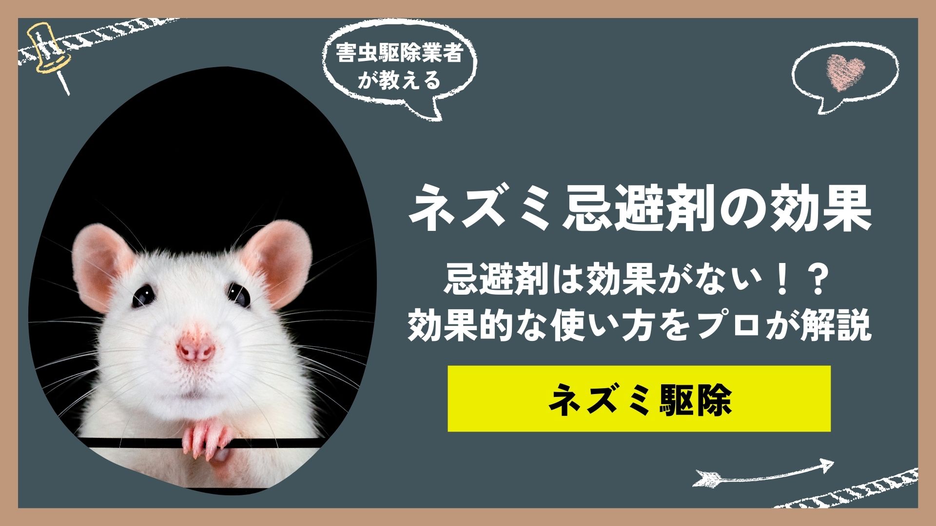 ネズミ忌避剤は効果がない！？忌避剤の種類と効果的な使い方をプロの駆除業者がご紹介