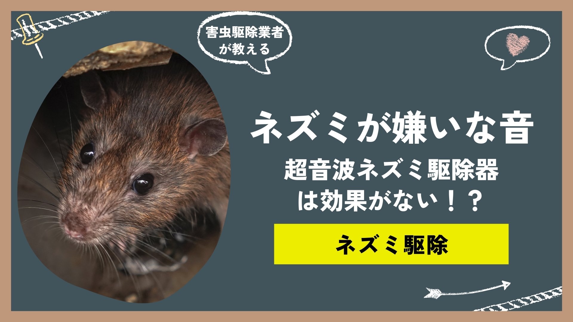 ネズミの嫌いな音は超音波！？超音波ネズミ駆除器の効果についてプロが解説