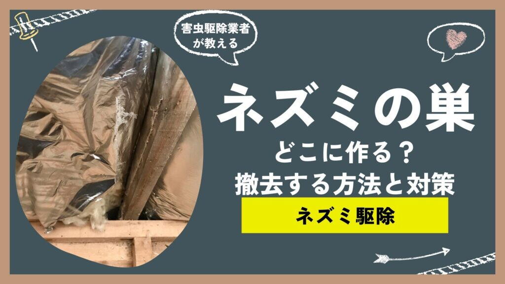 ネズミはどこに巣を作る？ネズミが巣を作る場所、撤去する方法、巣を作らせない対策方法をプロがご紹介。