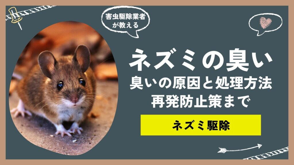 その部屋の臭いはネズミが原因かも！？ネズミ臭の原因から対処法、再発防止策までご紹介