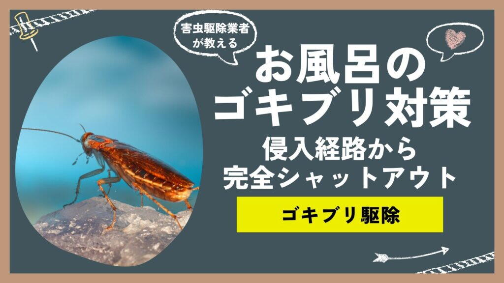 【プロが教える】浴室のゴキブリ徹底退治法！侵入経路から完全シャットアウトする秘策