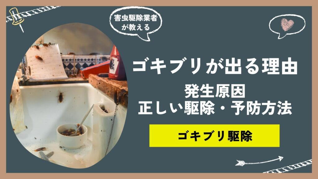 家にゴキブリが出る本当の理由！発生原因と正しい駆除・予防方法