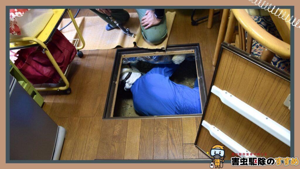 専門のゴキブリ駆除業者に依頼するメリット