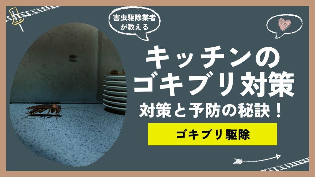 ゴキブリが出ないキッチンを作る！効果的な対策と予防の秘訣！プロ直伝のキッチンゴキブリ対策テクニック