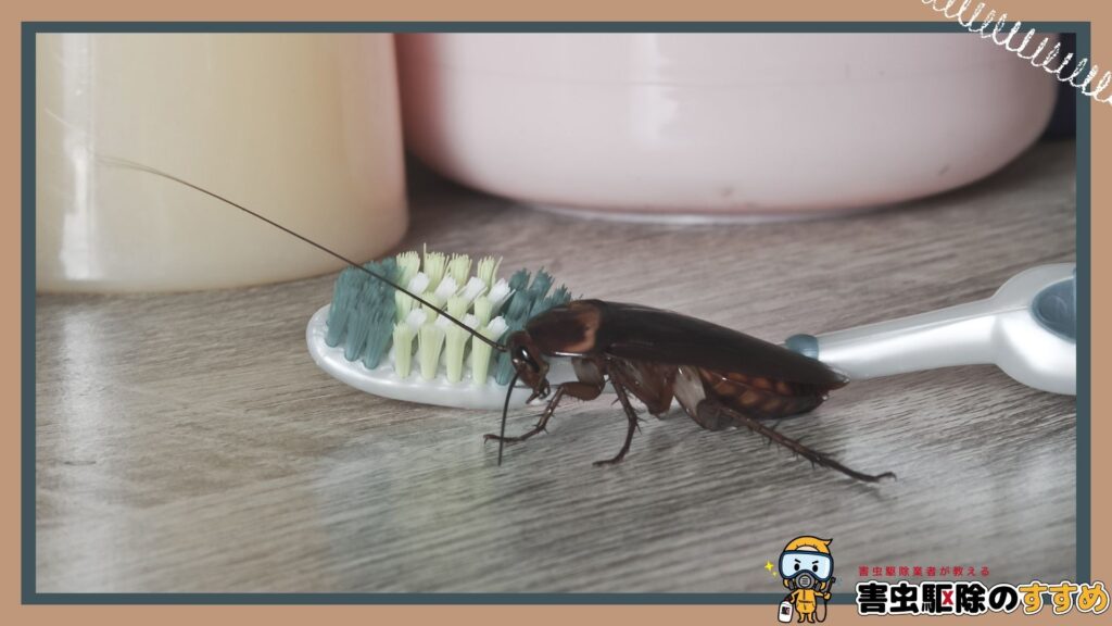 【部屋別】ゴキブリ発生の予防方法