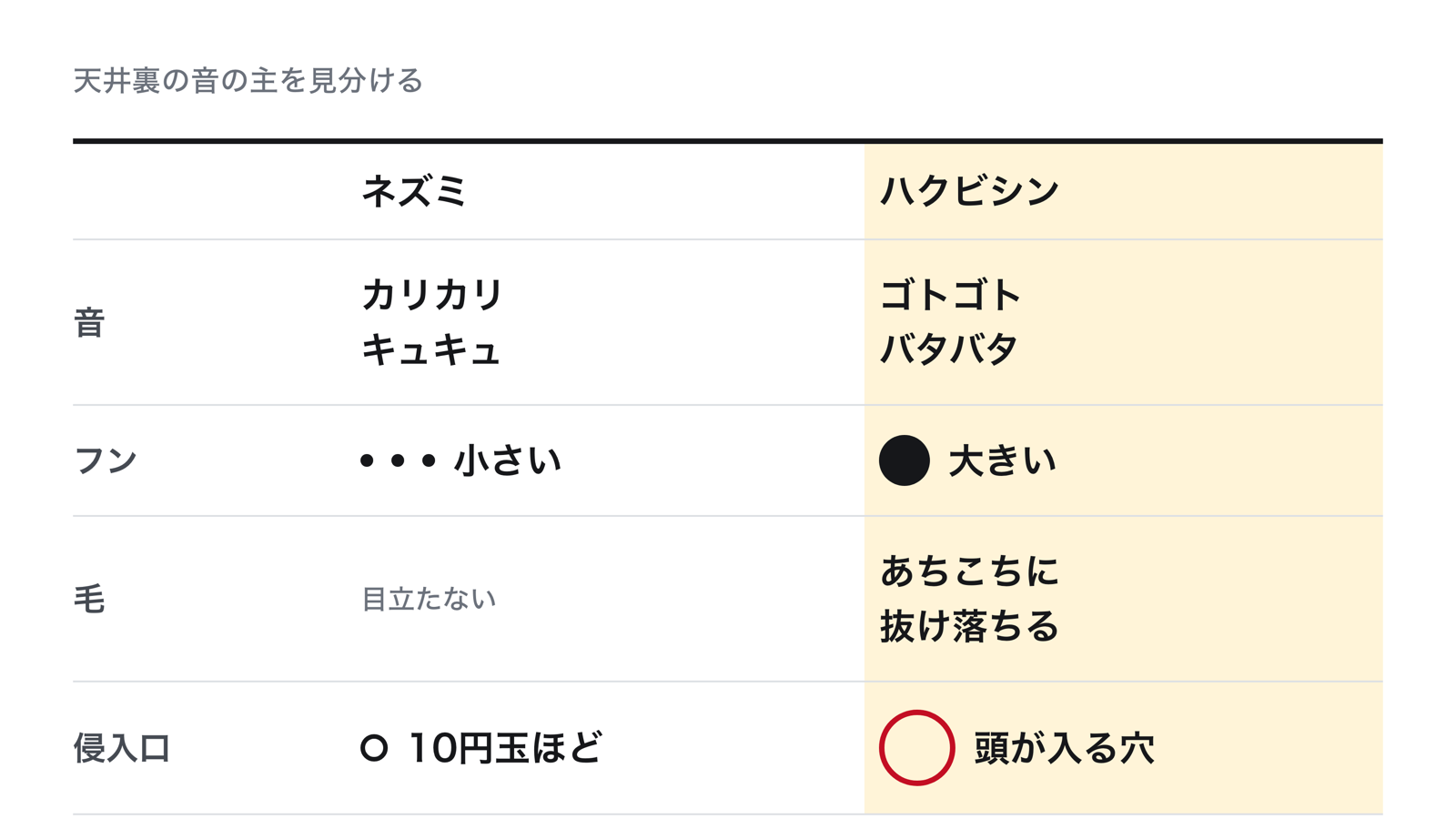 ネズミとハクビシンの見分け方。音はネズミがカリカリ、ハクビシンがゴトゴト。フンと侵入口はハクビシンのほうがずっと大きく、天井裏に毛が落ちている
