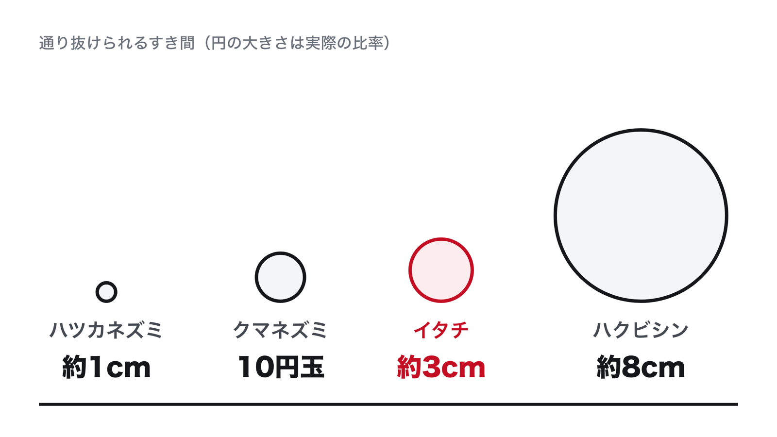 イタチ、ハクビシン、ネズミが通れるすき間の大きさの比較。ハツカネズミ約1cm、クマネズミ10円玉ほど、イタチ約3cm、ハクビシン約8cm