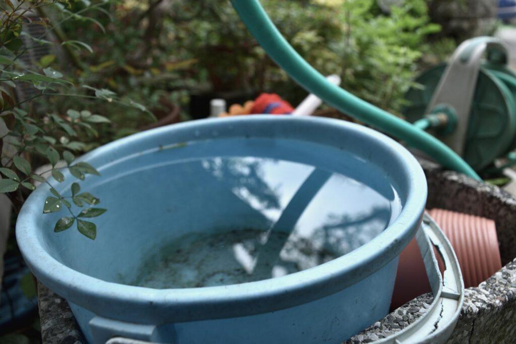 庭に置いたまま雨水がたまった水色のたらい。そばに植木鉢とホースが置かれている