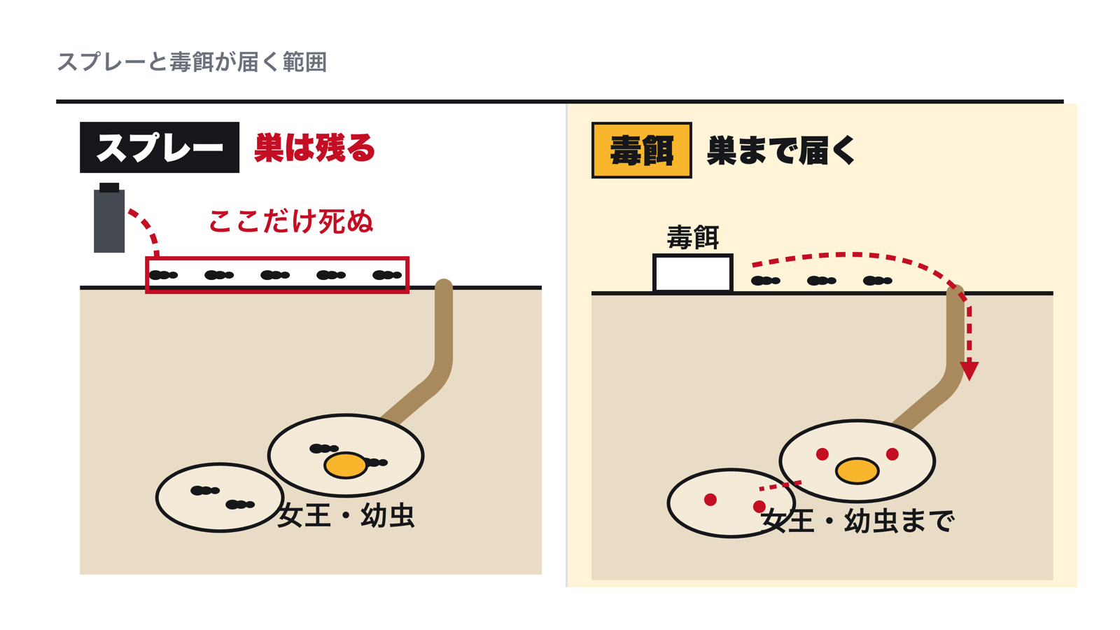 毒餌とスプレーの違い。スプレーは行列の働きアリだけを殺し、巣の女王アリと幼虫は残る。毒餌は働きアリが巣へ運び、女王アリと幼虫まで届く