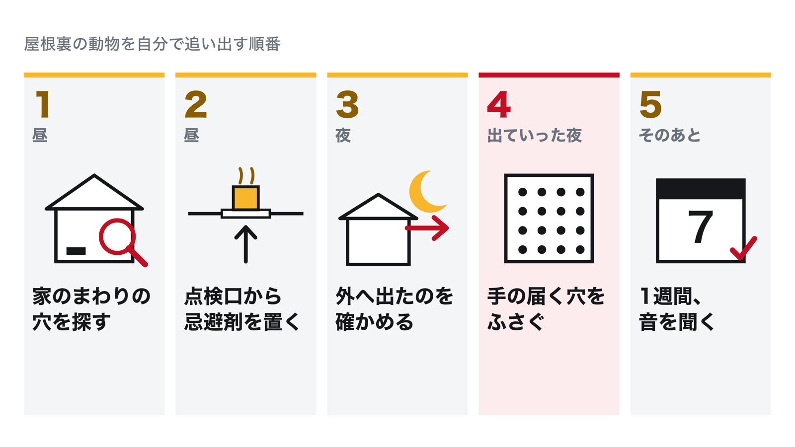 屋根裏の動物を自分で追い出す5つの手順。昼に家のまわりで穴を探す、点検口から忌避剤を置く、夜に出ていくのを確かめる、出ていった後に穴をふさぐ、1週間音が戻らないか聞く