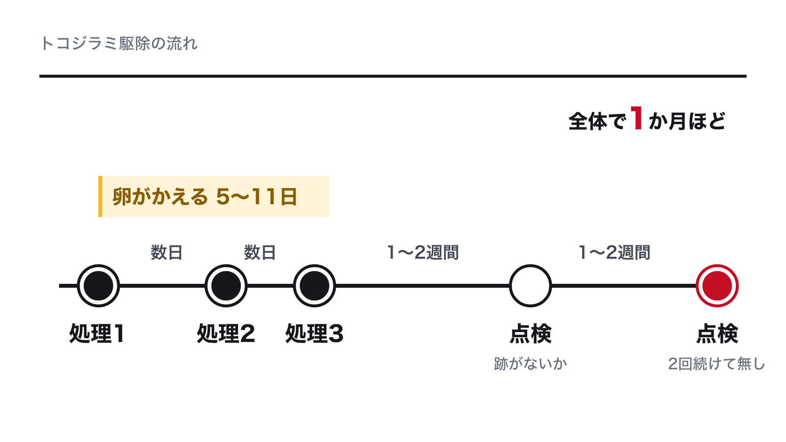 トコジラミ駆除の1か月の流れ。1回目の処理、数日あけて2回目と3回目の処理、そのあと1〜2週間ごとに点検し、2回続けて跡が見つからなければ終わり。卵は5〜11日でかえるので、その間に処理を重ねる