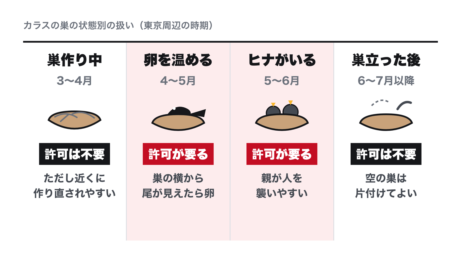 カラスの巣の状態別の扱い。巣作り中で卵がないときは許可は要らないが、近くに作り直されやすい。巣の横から尾が見えて卵を温めているとき、ヒナがいるときは許可が要る。ヒナが巣立って空になったら許可は要らず、片付けてよい