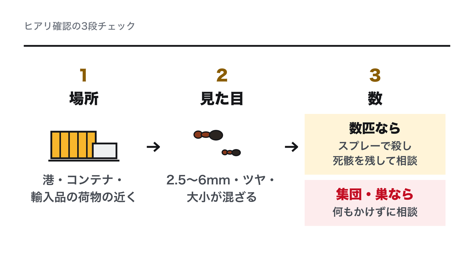 ヒアリ確認の3段チェック。1は場所、港やコンテナ・輸入品の荷物の近くか。2は見た目、2.5〜6mmでツヤがあり大小が混ざるか。3は数、少数ならスプレーで殺して相談、集団や巣なら触らず相談