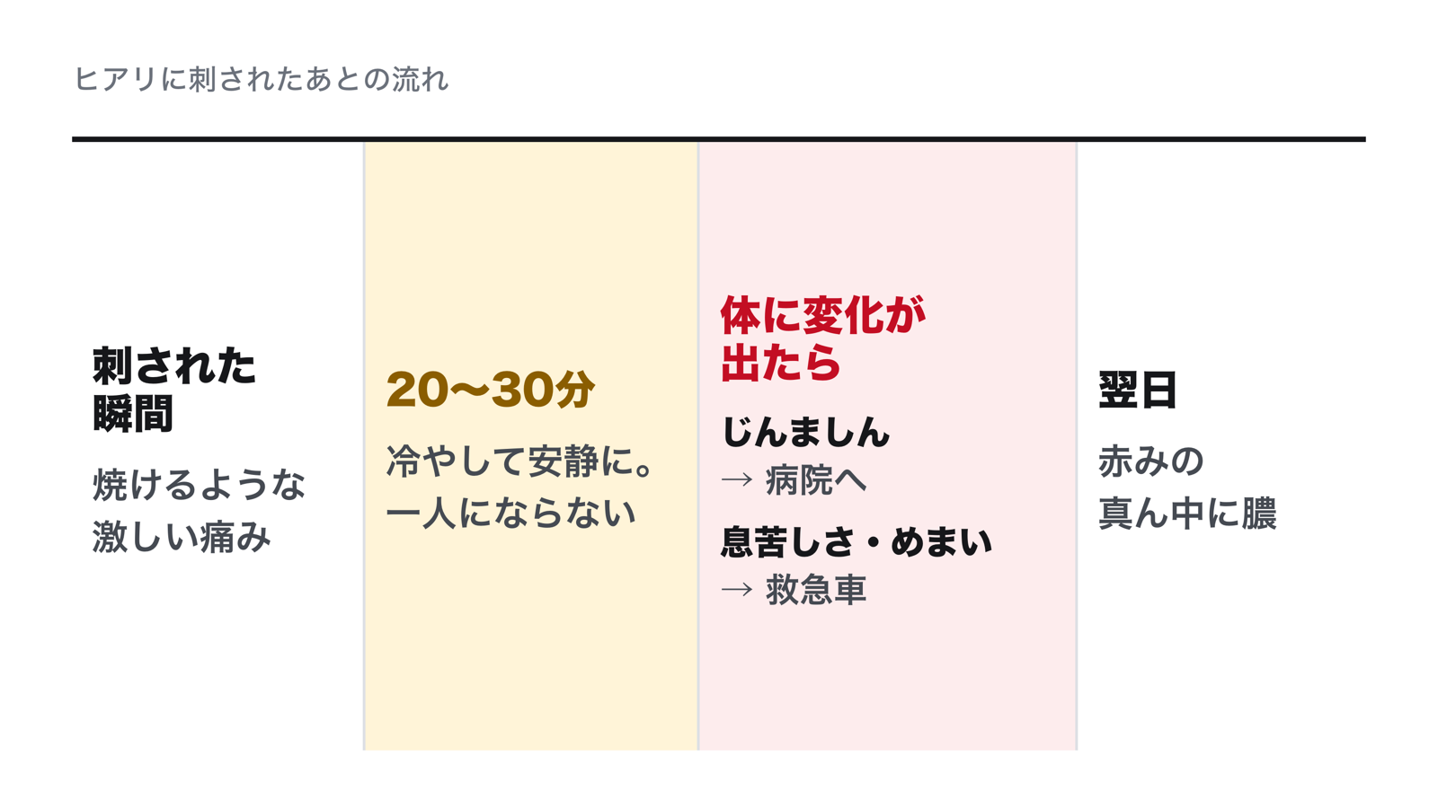 ヒアリに刺されたあとの流れ。刺された瞬間は焼けるような痛み、20〜30分は冷やして安静、息苦しさやめまいが出たら救急車、翌日は赤みの真ん中に膿