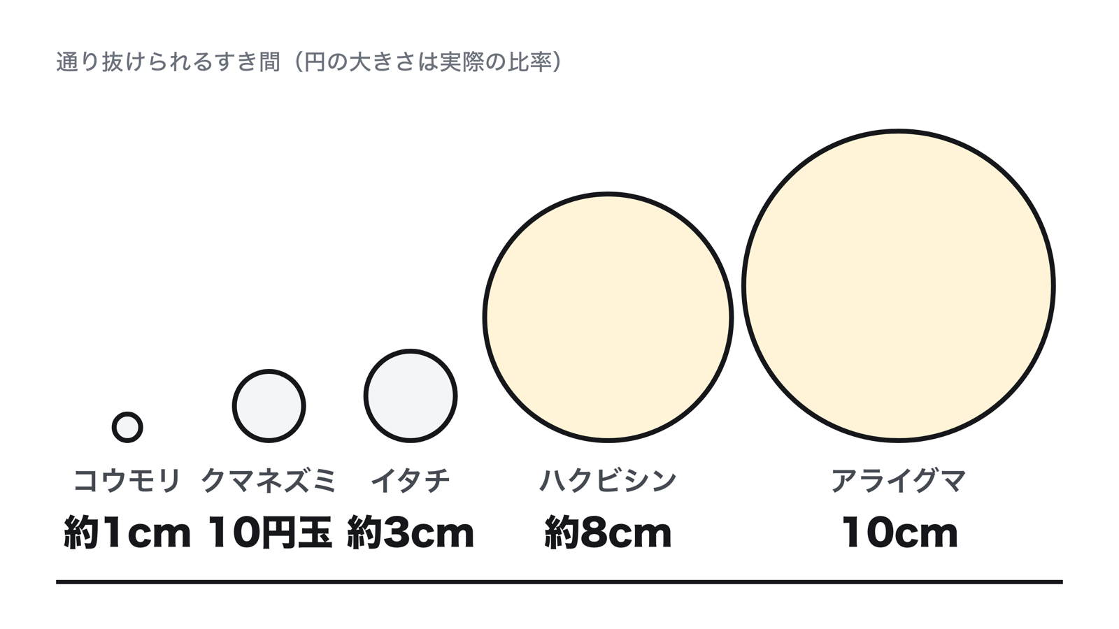 害獣が通り抜けられるすき間の大きさ。コウモリ約1cm、クマネズミ10円玉ほど、イタチ約3cm、ハクビシン約8cm、アライグマ10cm