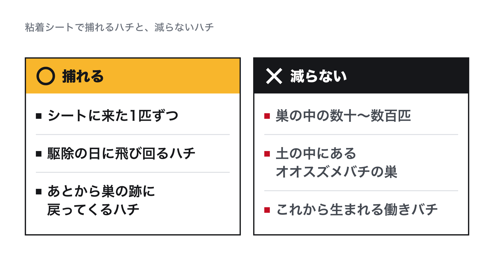 スズメバチの粘着シートで捕れるのは、シートに来た1匹ずつ、駆除の日に飛び回るハチ、あとから巣の跡に戻ってくるハチ。減らないのは、巣の中の数十〜数百匹、土の中のオオスズメバチの巣、これから生まれる働きバチ