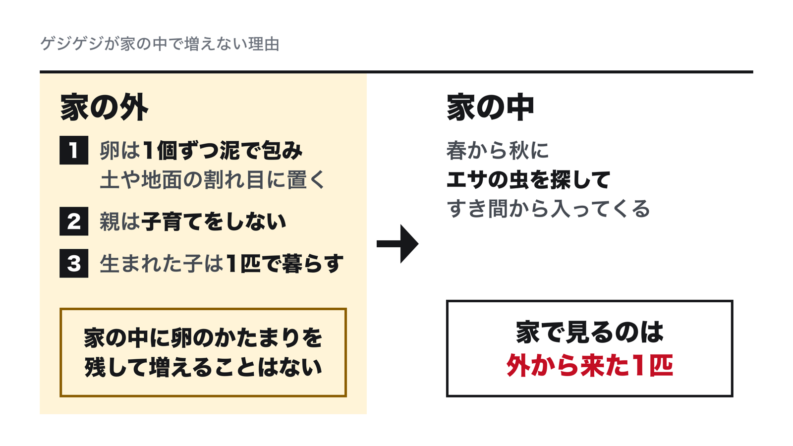 ゲジゲジが家の中で増えない理由。卵は家の外の土や地面の割れ目に1個ずつ置かれ、親は子育てをせず、子は1匹で暮らす。春から秋にエサを探して家に入ってくる