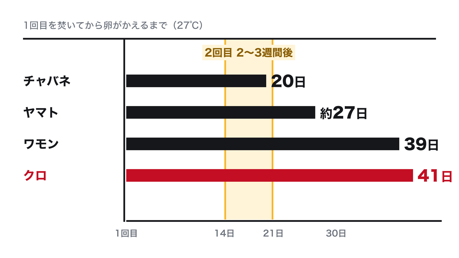 1回目のバルサンから卵がかえるまでの日数。チャバネゴキブリは20日、ヤマトゴキブリは約27日、ワモンゴキブリは39日、クロゴキブリは41日(27℃)。2〜3週間後の2回目はチャバネに合い、クロゴキブリの卵はそのあとにかえる