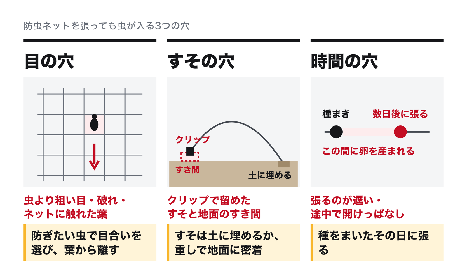 防虫ネットを張っても虫が入る3つの穴。目の穴は虫より粗い目・破れ・ネットに触れた葉、すその穴はクリップで留めたすそと地面のすき間、時間の穴は種まきから数日たって張ること。それぞれ、防ぎたい虫で目合いを選んで葉から離す、すそを土に埋める、種をまいたその日に張る