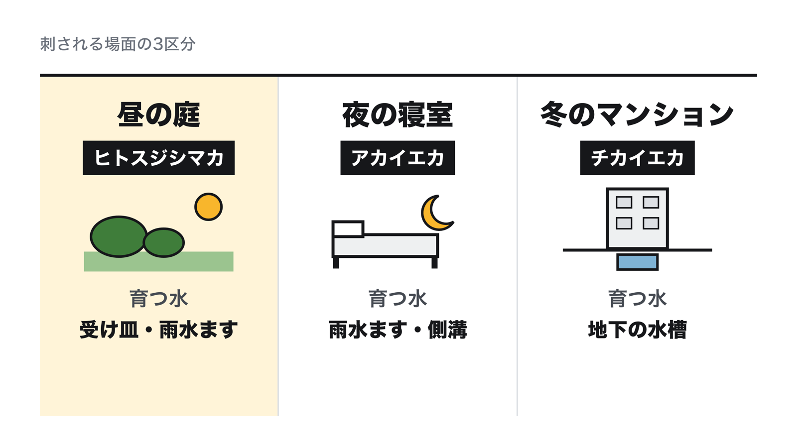 刺される場面の3区分。昼に庭や公園で刺すのはヒトスジシマカで、植木鉢の受け皿や雨水ますなど小さな水で育つ。夜に寝室で刺すのはアカイエカで、雨水ますや側溝で育つ。冬にマンションやビルで刺すのはチカイエカで、建物の地下の水槽で育つ