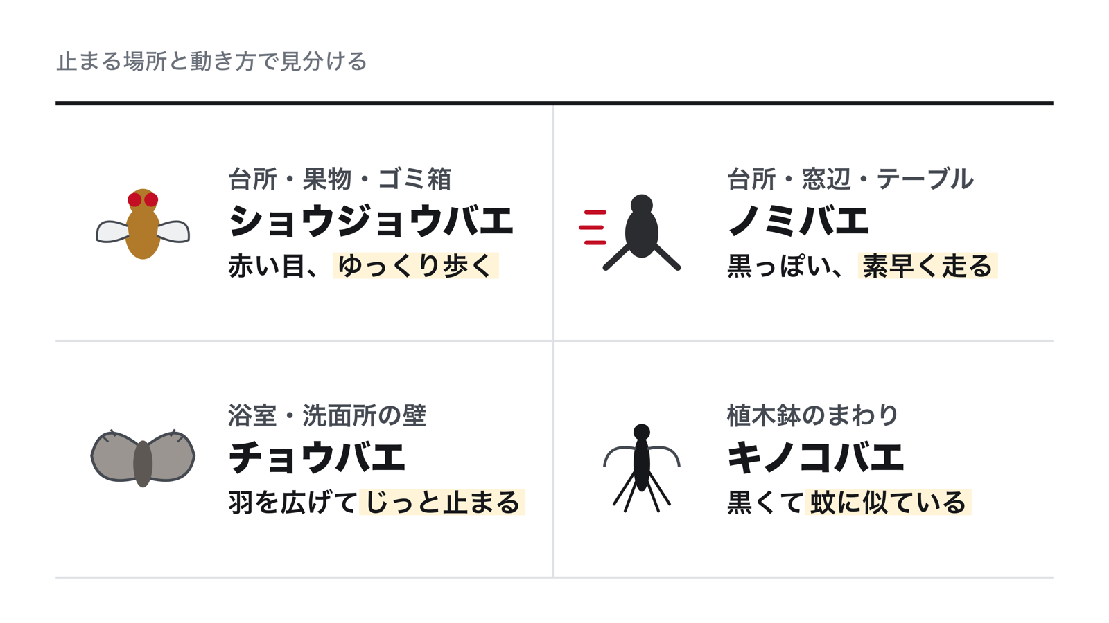 コバエの見分け方。台所の果物や生ゴミのまわりでゆっくり歩く赤い目のコバエはショウジョウバエ、素早く走り回るのはノミバエ、浴室や洗面所の壁に羽を広げて止まるのはチョウバエ、植木鉢のまわりにいる黒くて蚊に似たものはキノコバエ