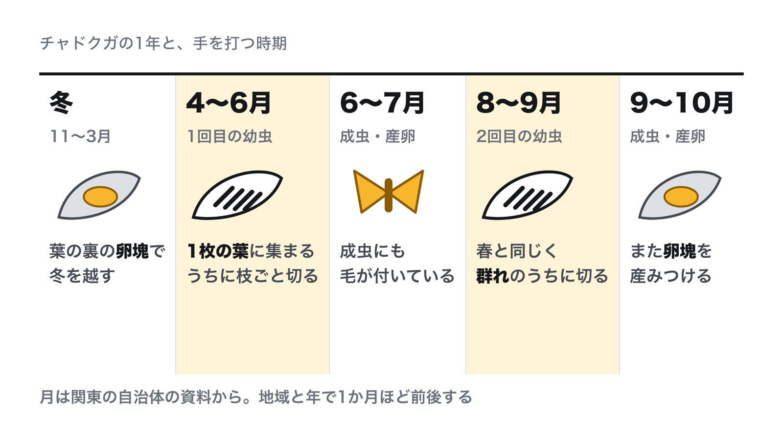 チャドクガの1年。冬は葉の裏の卵塊で越し、4〜6月と8〜9月に幼虫が出る。幼虫が1枚の葉に集まっているうちに枝ごと切る