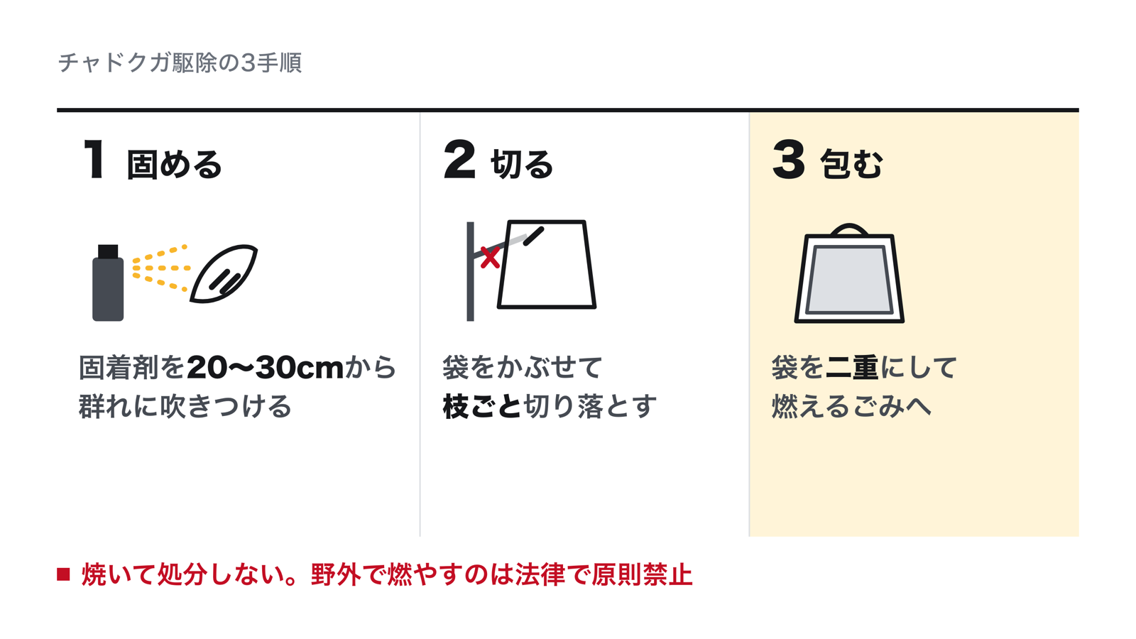 チャドクガ駆除の3手順。固着剤を20〜30cmから吹きつけて毛を固め、袋をかぶせて枝ごと切り、袋を二重にして燃えるごみに出す