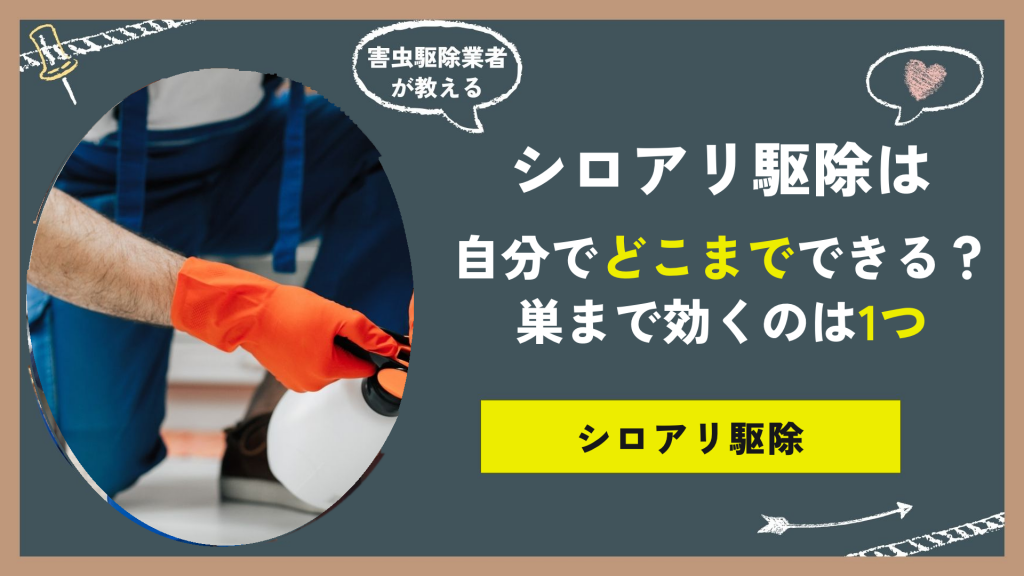 シロアリ駆除は自分でどこまでできるか、巣まで効く市販薬は1つ