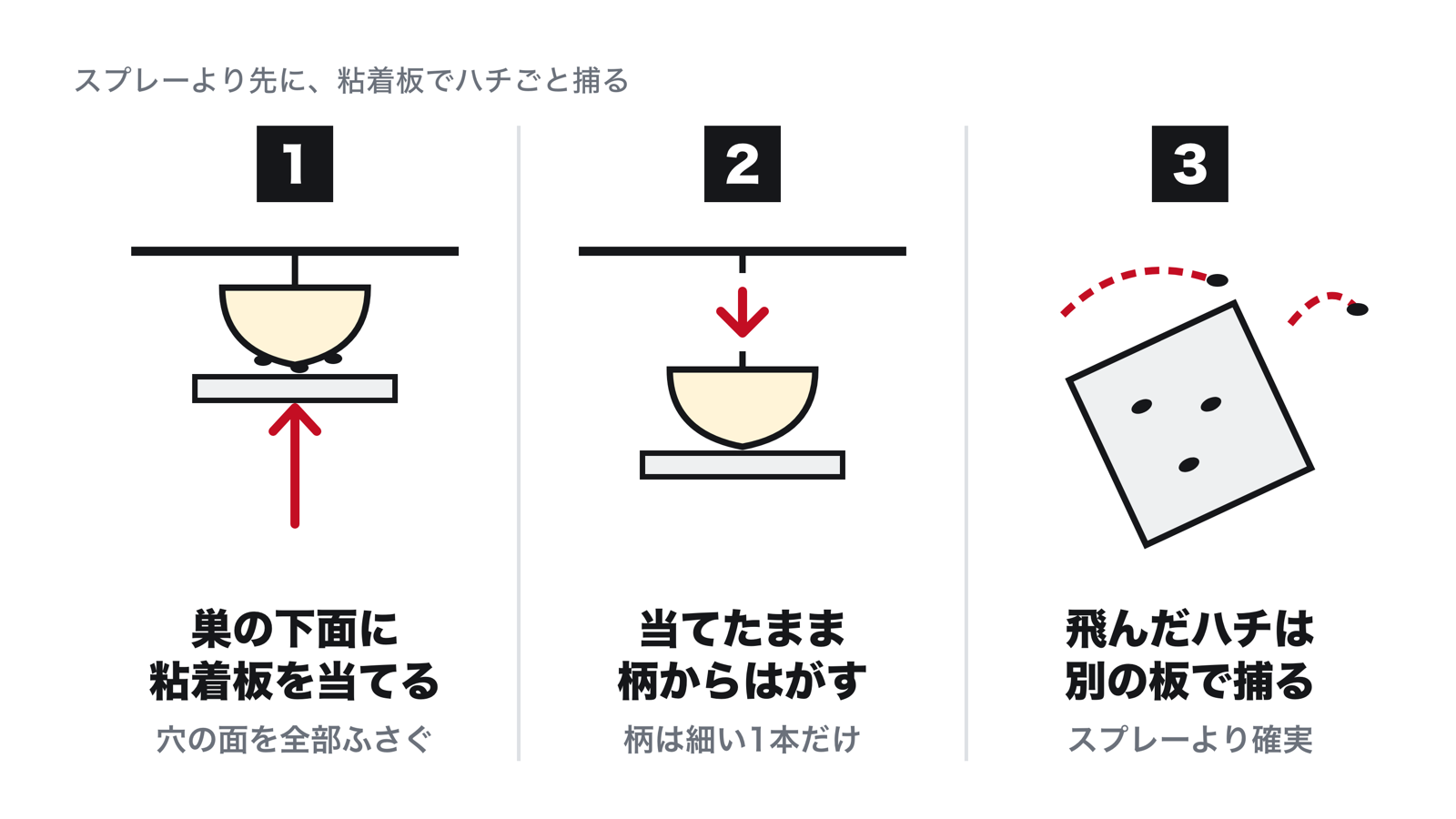 アシナガバチの巣を粘着板で落とす3つの手順。巣の下面に粘着板を押し当てる、当てたまま柄の根元からはがす、飛び立ったハチは別の粘着板を振って捕る